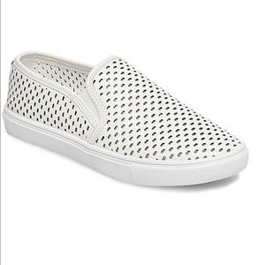 [STEVE MADDEN] Elouise sneaker . Size 8